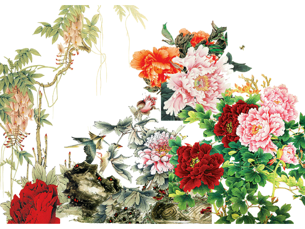 國(guó)色天香，優(yōu)雅綻放 解析《牡丹花》PNG免摳圖素材的藝術(shù)價(jià)值與應(yīng)用場(chǎng)景