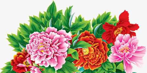 牡丹花開富貴圖 免費(fèi)高清PNG素材，點(diǎn)綴你的創(chuàng)意設(shè)計(jì)